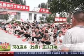 走进乡村看小康丨“掐辫子”比赛火热进行 编出花的麦秆扇扇来致富风图片