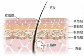 痱子痒、红屁屁、淹脖子……怎么办？夏季儿童护肤宝典来啦图片