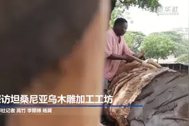 探访坦桑尼亚乌木雕加工工坊视频封面