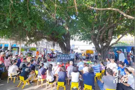 党建引领基层治理的深圳实践⑭|榕树下的党史故事会，也是为民办实事的现场会图片