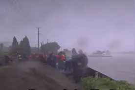 黄浦江面临天文大潮，奉贤区紧急动员13个街镇的民兵加固增高防护堤图片