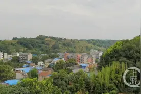 主城避暑亦舒服图片