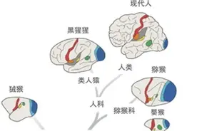 为啥“人之所以为人”？图片