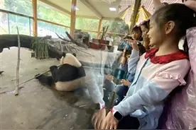 “双猫”7岁了图片