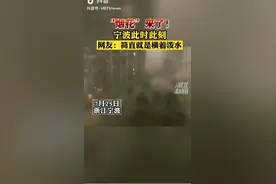 辟谣！这段视频并非发生在宁波图片