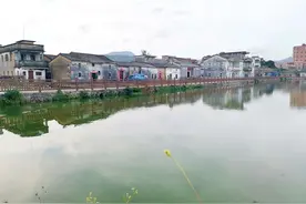 大亚湾霞涌下沙河重见水清岸绿鱼群畅游 两岸成散步好去处图片
