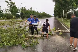 合肥经开区城管系统2100名应急人员到岗图片