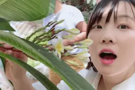 我打赌，这个旅行地，今年一定爆图片