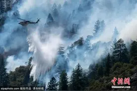 美加州最大野火延烧多地进入紧急状态 逾万建筑受威胁图片