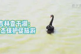 吉林查干湖：生态保护促旅游视频封面