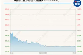又见闪崩！4000亿超级白马股午后半小时跌停，市值蒸发400多亿，网友心慌：“站岗，我觉得要凉凉了”图片