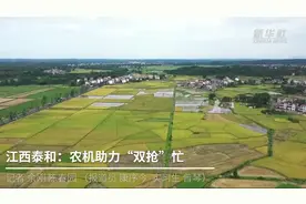 江西泰和：农机助力“双抢”忙视频封面