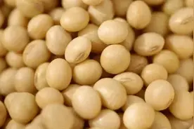 出汗后要补4种维生素 不妨多吃豆类香蕉苹果图片