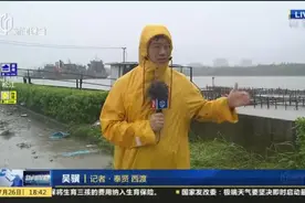 黄浦江奉贤段今晨迎历史最高潮位视频封面