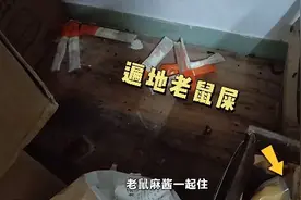 遍地老鼠屎、猪肺当抹布……知名餐饮品牌深夜致歉图片
