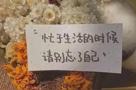 这份假期作息表，让我戒掉了熬夜和拖延图片