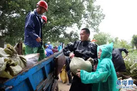 浙江：台风来袭自救忙图片