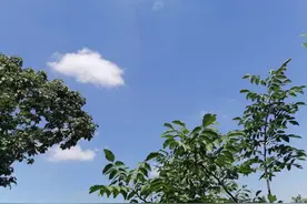 智简瞭望（5） 课堂有路“导”为径图片