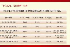 2000辆！你心心念念的“小黄车”要来了图片