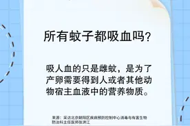 蚊子叮咬怎么办？这样驱蚊最管用图片