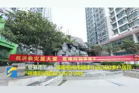 国网山东电力抢修40小时 郑州这个小区停电130小时后恢复通电视频封面