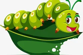 耐耐老师讲故事 |《虫妈妈笑了》图片