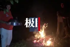 十堰山村野猪横行，“人猪大战”不断上演图片