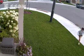 小铲屎官被郊狼袭击 勇敢狗狗为保护主人拼了命图片