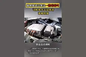 真躲猫猫！深圳一猫咪钻进引擎盖出不来一路喵喵叫，司机半天没找着求助交警图片