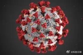 俄专家：冠状病毒不具有进行人工干预的必要结构图片