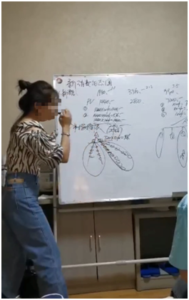 海之圣产品价格表 2026年海之圣产品价格表,海之圣福乐金羊