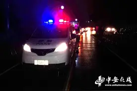 “烟花”来袭 泾县警方顺利转移101名上海老龄游客图片