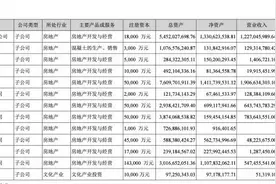 医美股测评④｜苏宁环球：医美业务仅占营收1%，如何发展成“唯一主业”？图片