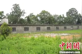 贵州一农民工回乡创业种桑养蚕 每天和400万只虫一起生活图片