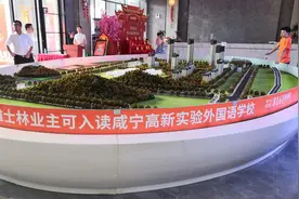 发布“学区房”虚假广告，咸宁9家楼盘负责人被约谈图片