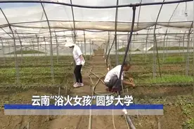 云南“浴火女孩”圆梦大学视频封面