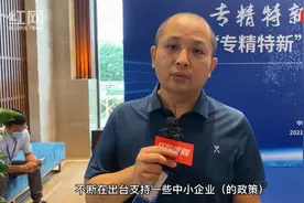 “小巨人”·妙论丨麒麟信安龙赛：发挥自身优势 谋求更多与湖南企业的合作机会视频封面
