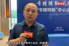 “小巨人”·妙论丨麒麟信安龙赛：发挥自身优势 谋求更多与湖南企业的合作机会视频封面