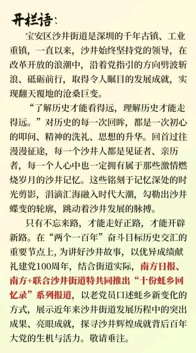 沙井网站优化（蚝乡回忆录⑨定位再跃升从关外地区到发展热土）