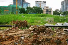 重建紫马奔腾雕塑！紫马岭公园北广场拟提升改造图片