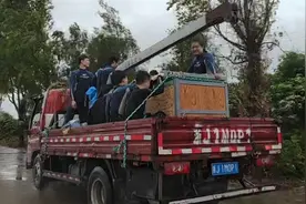 又一鲸鱼搁浅温州瑞安，7月浙江已有15头鲸类搁浅图片