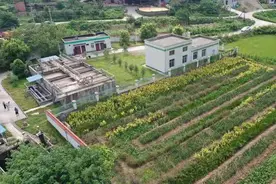 重庆铜梁：污水处理厂“变身”生态湿地 探索生态治污新路径图片