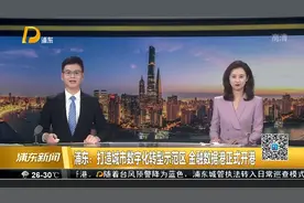 浦东：打造城市数字化转型示范区 金融数据港正式开港视频封面