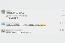 台风天，红山动物园的毛孩子们都在干嘛？网友：待吾巡山图片