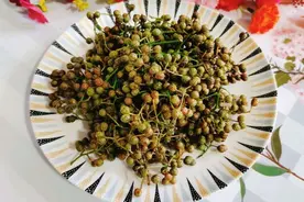 让你停不下筷子的鲜花椒保存方法图片