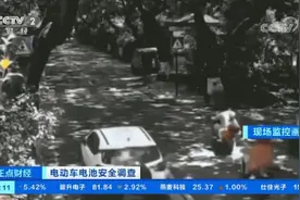 警惕！每年引起约2000起火灾事故！这种电池为何突然爆炸？图片