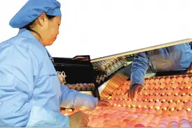 神丹15年蓄起优质畜禽“基因库”图片