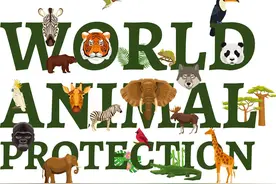 大象一退再退图片