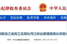 原黑龙江省森工总局牡丹江林业管理局局长邓恩元被开除党籍图片