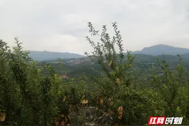 汝城县李幸福：幸福路上“李”相随图片